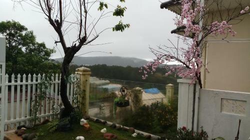 Bed & Breakfast Sakura Homestay
