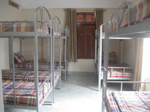 Phong Nha Gecko Hostel