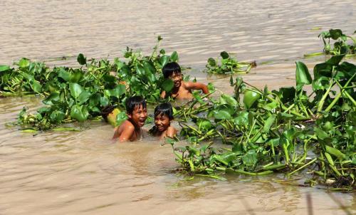 Gite Nam Hien Mekong