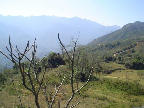 A De Homestay