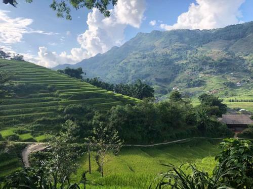 Big Tree Hmong Homestay