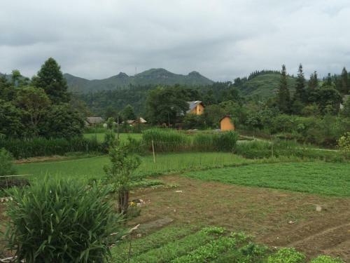 Dao Homestay