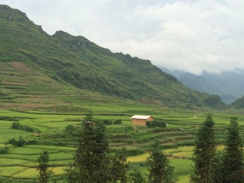 Dao Homestay