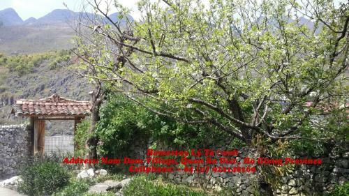 Ly Ta Danh Homestay