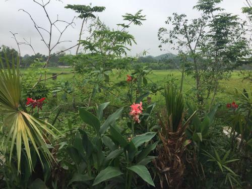 Agroturismo Vu Oganic Farmstay