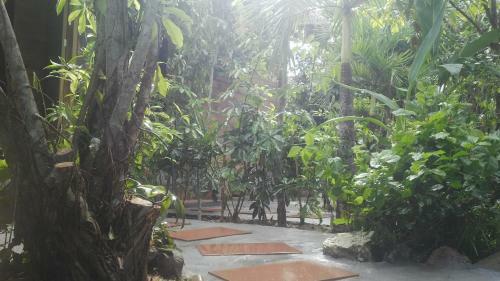 Agroturismo Vu Oganic Farmstay