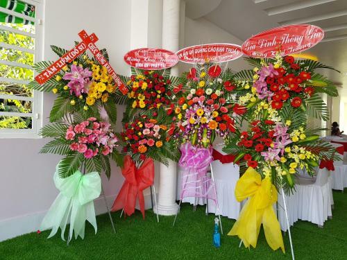 Hotel Minh Kim Guesthouse
