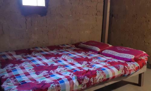 Bed & Breakfast Discover Y Ty Homestay