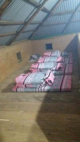 Bed & Breakfast Discover Y Ty Homestay