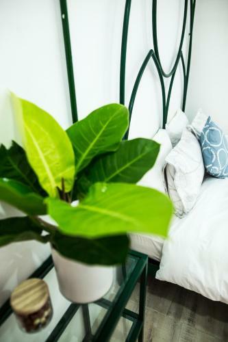 Apartamento Lab House /apartment
