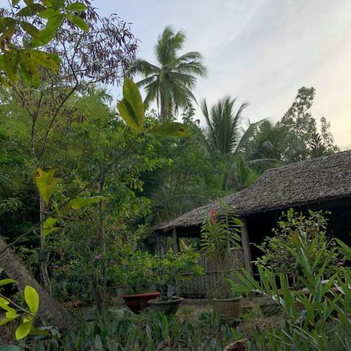 Ba Danh Home