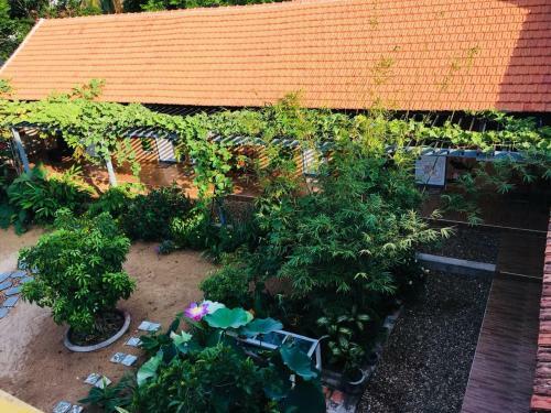 Yellow Farm Homestay