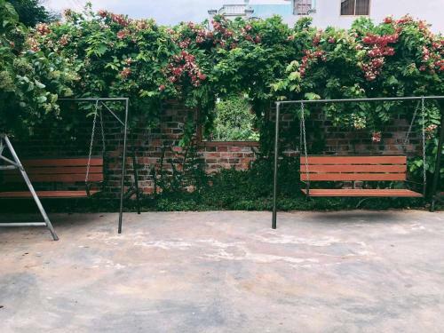 Yellow Farm Homestay