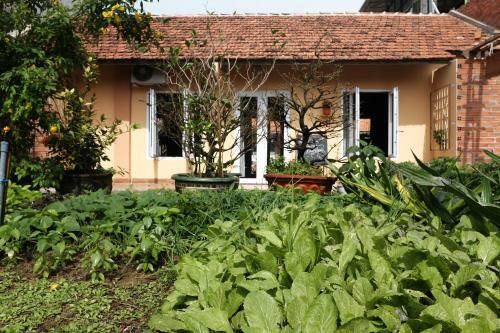 Yellow Farm Homestay