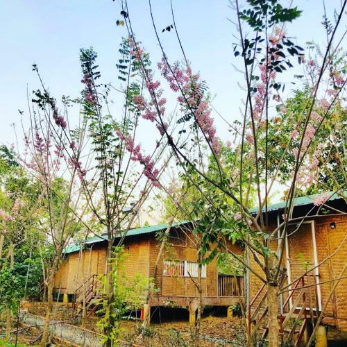 Hostal Spirit Garden Ecolodge