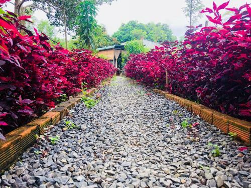 Hostal Spirit Garden Ecolodge