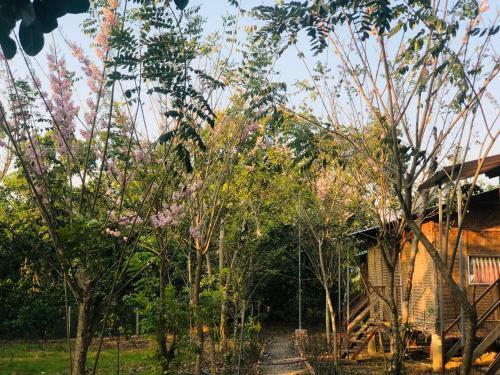 Hostal Spirit Garden Ecolodge