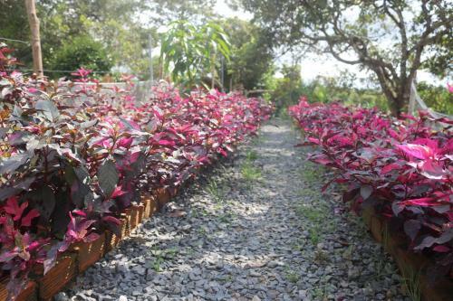 Hostal Spirit Garden Ecolodge