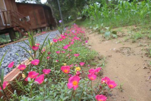 Hostal Spirit Garden Ecolodge