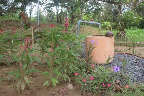 Hostal Spirit Garden Ecolodge