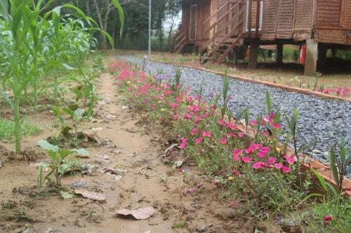 Hostal Spirit Garden Ecolodge