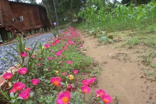 Hostal Spirit Garden Ecolodge
