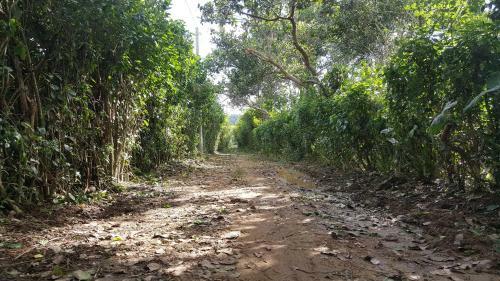 Hostal Spirit Garden Ecolodge