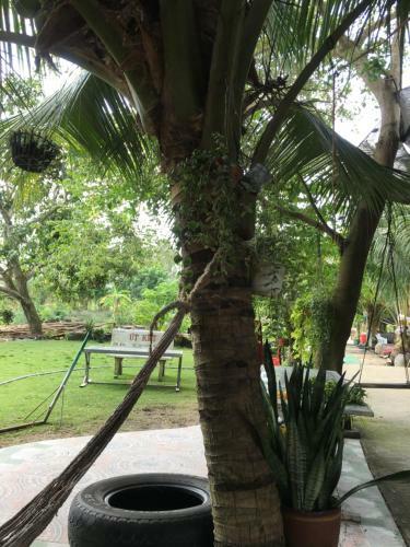 Agroturismo Shaha Homestay