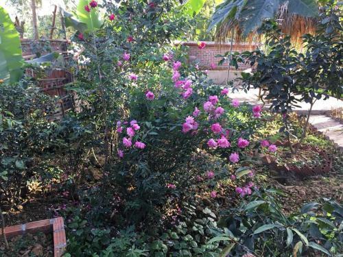 Bed & Breakfast Van Long Family Homestay