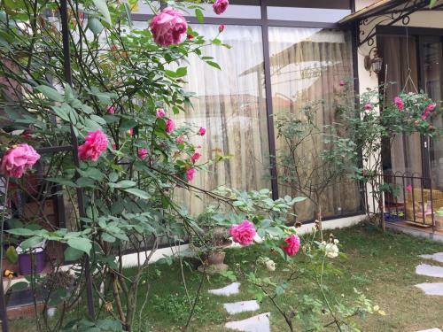 Lodge Rose Homestay