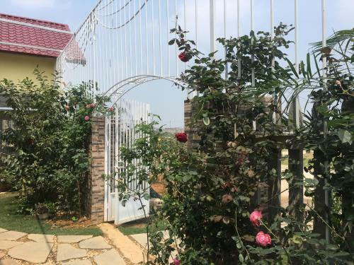 Lodge Rose Homestay
