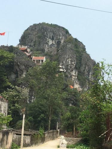 Lodge Rose Homestay
