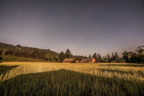 Toong Homestay
