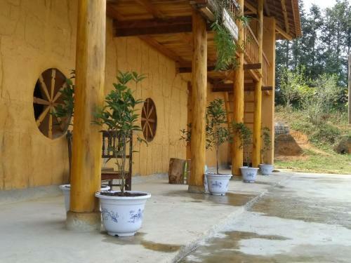 Toong Homestay