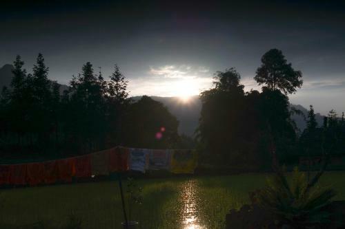 Toong Homestay