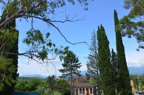 Apartments Lazurniy Bereg