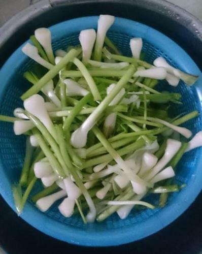 Hostal Dai Thanh 1 Motel Cang Sa Ky