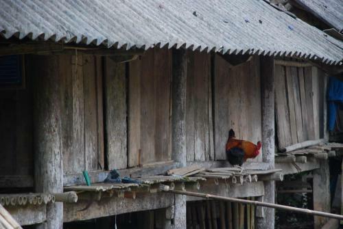 Muong Bi Homestay