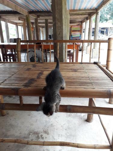 Muong Bi Homestay