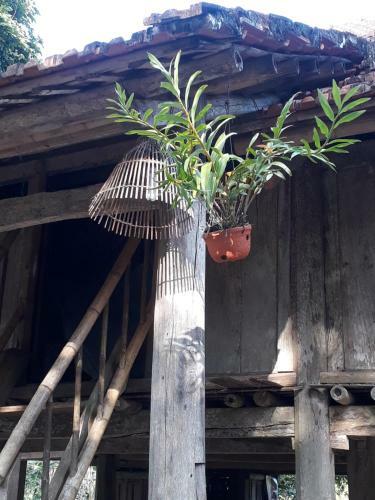 Muong Bi Homestay