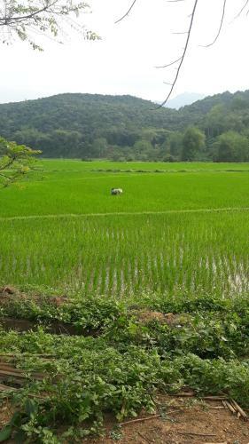 Muong Bi Homestay