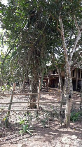 Muong Bi Homestay