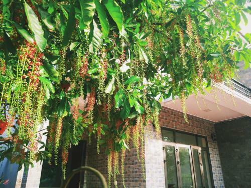Hotel Loren Homestay