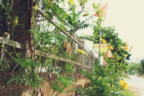 Hotel Loren Homestay