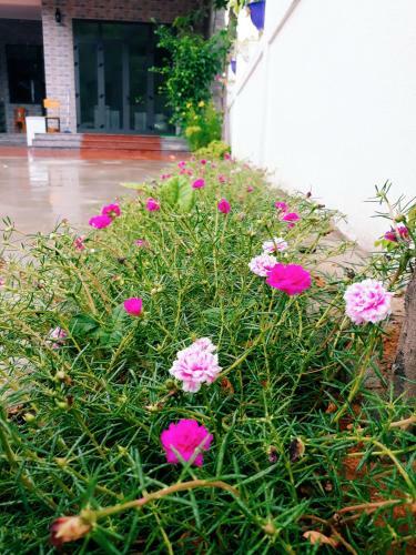 Hotel Loren Homestay