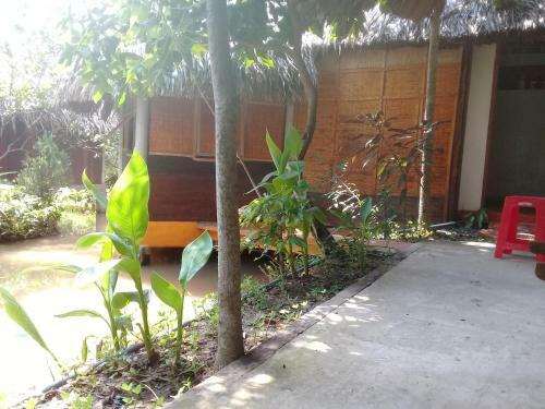 Hong Thai Homestay