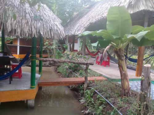 Hong Thai Homestay