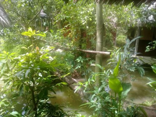 Hong Thai Homestay