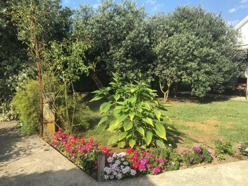 Hostal Guesthouse Milena