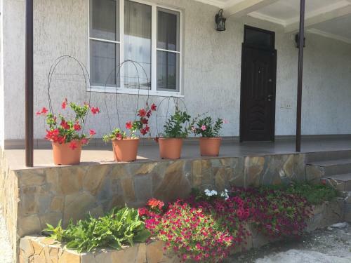 Hostal Guesthouse Milena